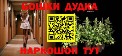 гидра Лесосибирск
