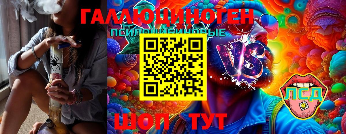 Псилоцибиновые грибы MAGIC MUSHROOMS  Псилоцибиновые грибы Psilocybe  Фрязино  Вход с VPN 