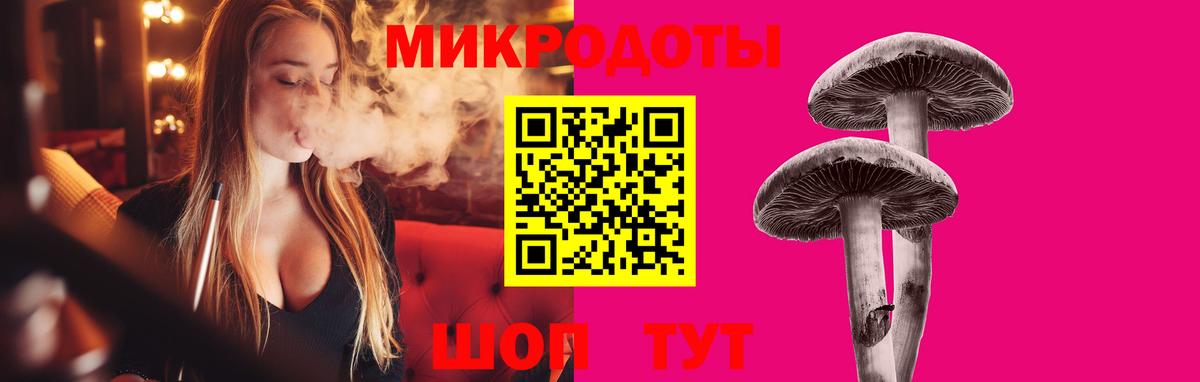 Псилоцибиновые грибы мицелий Фрязино